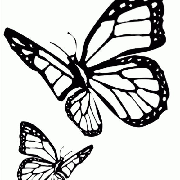 Meet your Posher, Carly - Picture 1 of 1